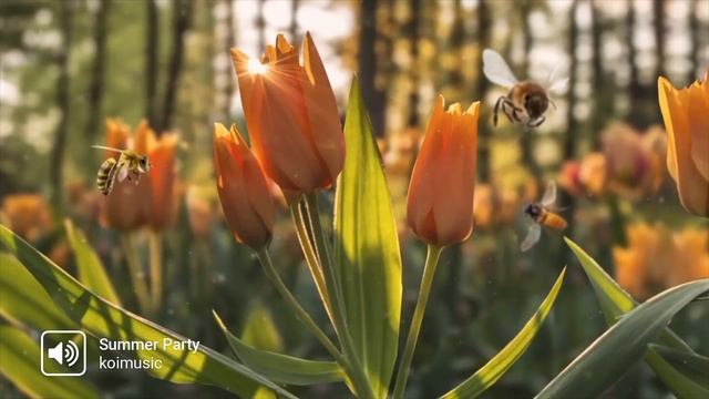 How to Transform Still Images Into Engaging Video смотреть онлайн