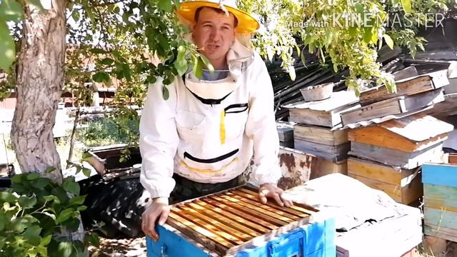 Ставлю магазины и корпуса! Надеюсь мед будет--погода отличная!!!/ Пчеловодство на Урале смотреть онлайн
