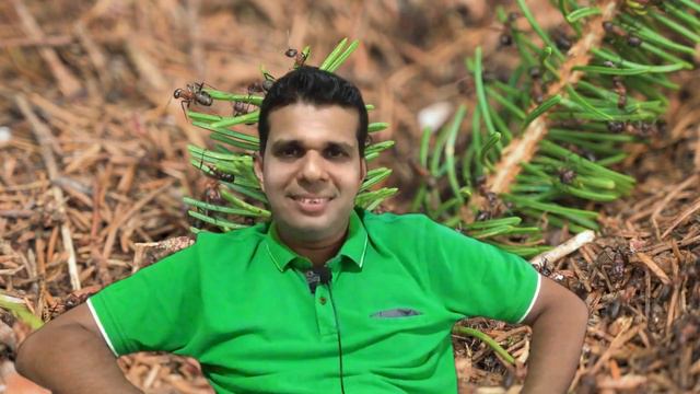 English Idioms In Use Intermediate#english #englishvocabulary #learnenglish   /Enjoy Life With LCS