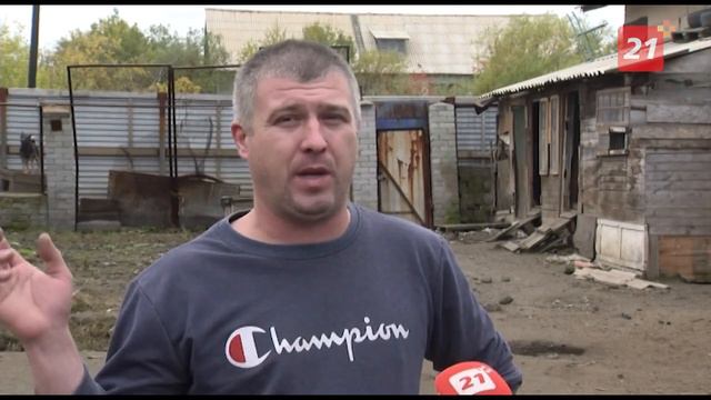 Кольская ГМК помогла приюту для бездомных животных в Никеле смотреть онлайн