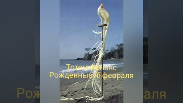 Тотем Феникс рожденные 16 февраля смотреть онлайн