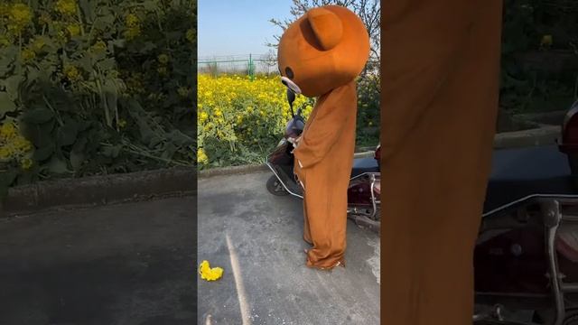 Что ты делаешь, что ты делаешь? смотреть онлайн