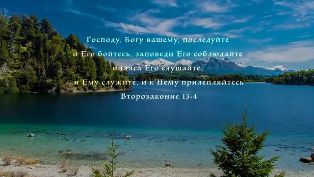 Инструментальная музыка для размышления, молитвы и созерцания. смотреть онлайн