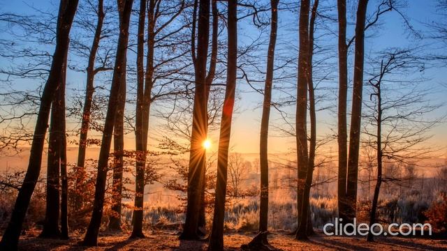 Спокойная музыка без слов без рекламы. RELAX. Музыка от стресса. RELAX. Музыка для расслабления. смотреть онлайн