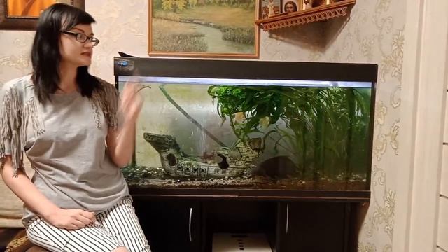 Как рыбы дышат под водой смотреть онлайн