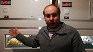 Отключили инкубатор на 6 часов, что случилось с яйцом?