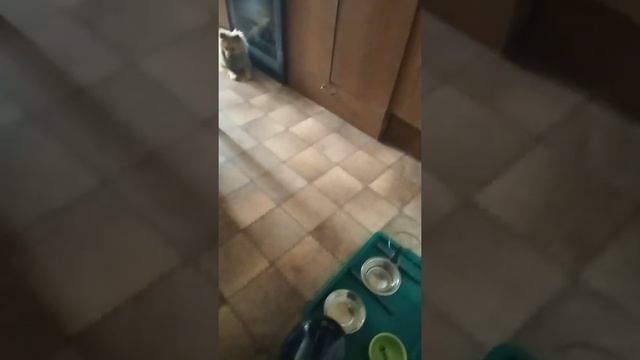 Пылесос зло смотреть онлайн