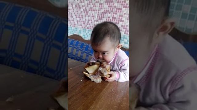 Хищница смотреть онлайн