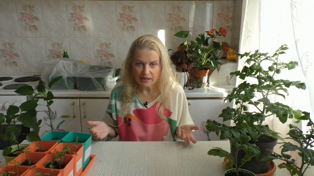 Очень важная информация! Где меня искать. смотреть онлайн