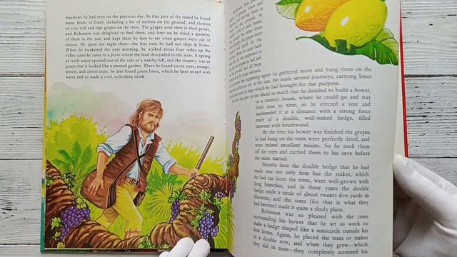 Обзор книги Robinson Crusoe смотреть онлайн