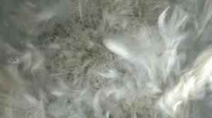 Стирка, аквачистка, чистка, реставрация, восстановление пухо-перьевой подушки. chudesnyy-son.by