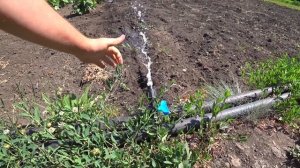 Давление воды самотеком из бочки.