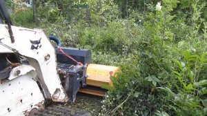 Очистка участка мульчером от кустарника, бурьяна, деревьев