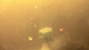 Как за 5 минут собрать всю рыбу с водоёма***ПРИКОРМКА-ГЕЙЗЕР***