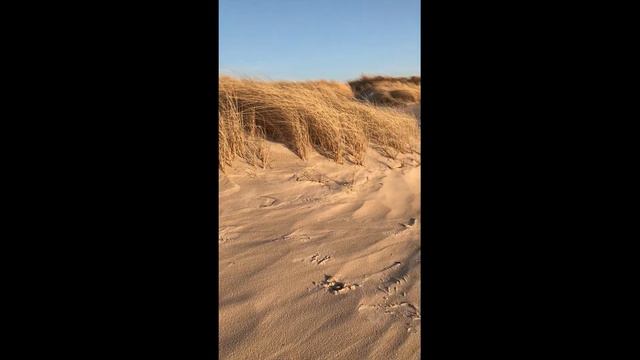 Человек здесь был...!? смотреть онлайн