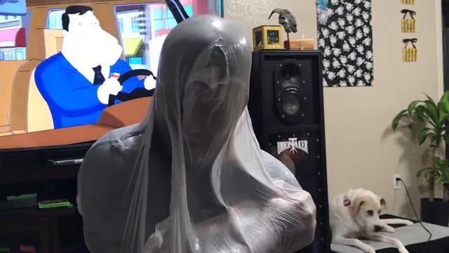Trash bag vs vacuum n me смотреть онлайн