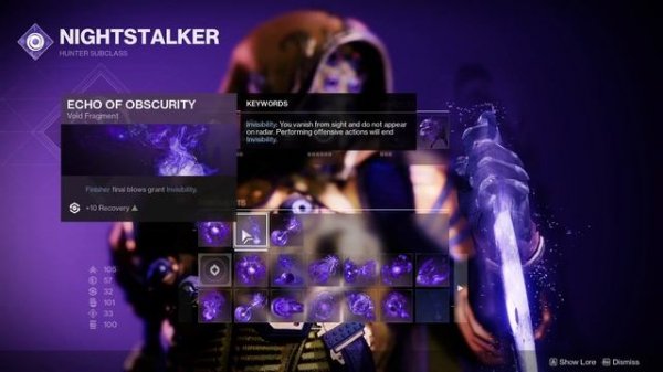 BEST Omnioculus Void 3.0 Build & Fashion | Destiny 2 Hunter Build