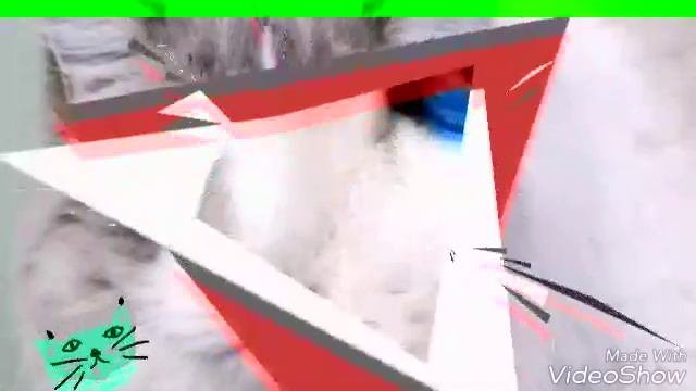 Пол песни (я рисую белым мелом) смотреть онлайн