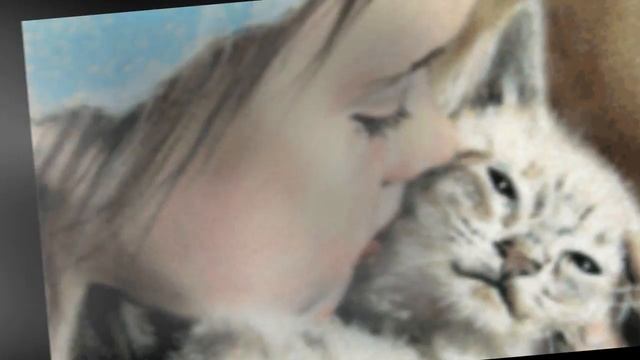 Брошенный котёнок смотреть онлайн