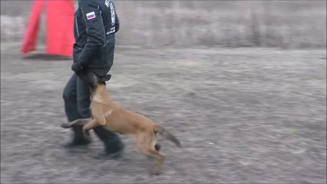 КА Шу (Кайден Визенхоф - КА Виза) - 3,5 месяца смотреть онлайн