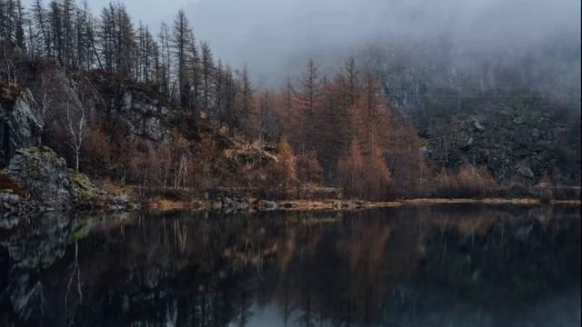 #Стихи.Ведьма.Ростислав Векленко. смотреть онлайн