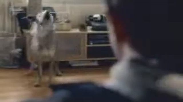 Смешная реклама Xcite