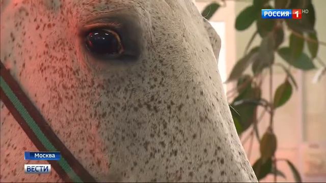 Солярий - друг или враг