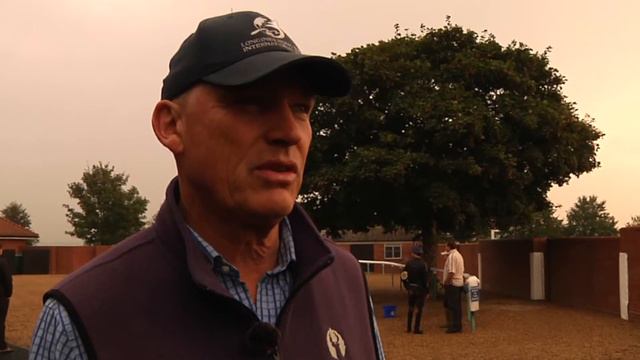 Taghrooda pre Arc gallop смотреть онлайн