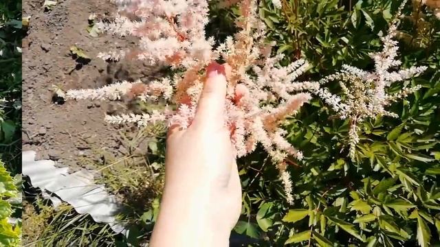 ВЛОГ ДАЧА/ СУМКА ИЗ ФИКС ПРАЙС/АШАН смотреть онлайн