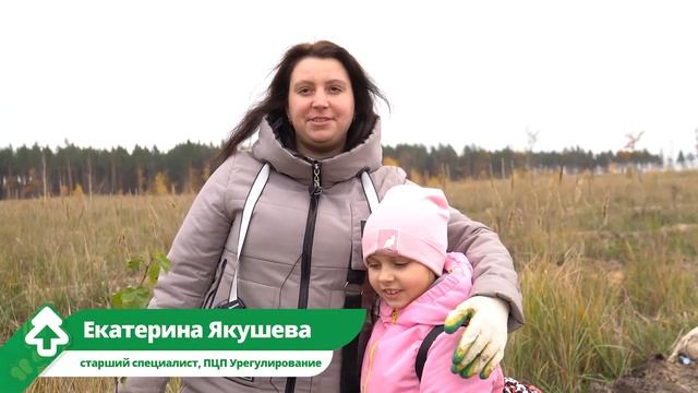 Посадка леса в Воронежской области 22 октября 2022 года смотреть онлайн