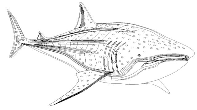 CREATIVE ANIMAL DRAWINGS CADBULL FILES | Cadbull | Autocad | Architecture смотреть онлайн