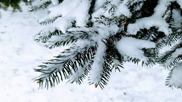 21 января. ДЕНЬ ЕМЕЛЬЯНА ЗИМНЕГО.Народные приметы и обычаи смотреть онлайн