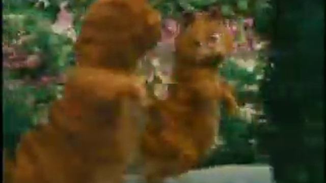 Garfield's Dance 1
