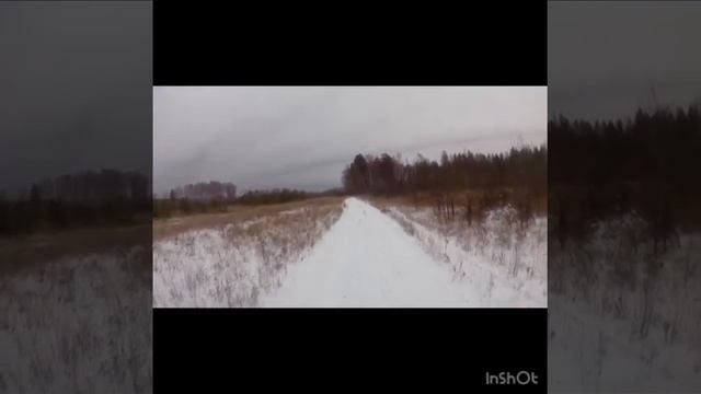 Рм 650-2 покатушки за дровами