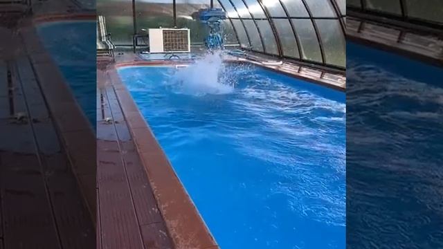 Как правильно крутить сальто назад смотреть онлайн