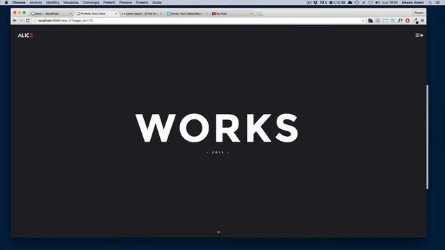 Alice Wordpress Theme - Theme Options Overview смотреть онлайн