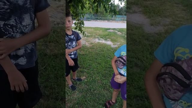 Кременчуг, Садки скручивали колпачки с колёс!