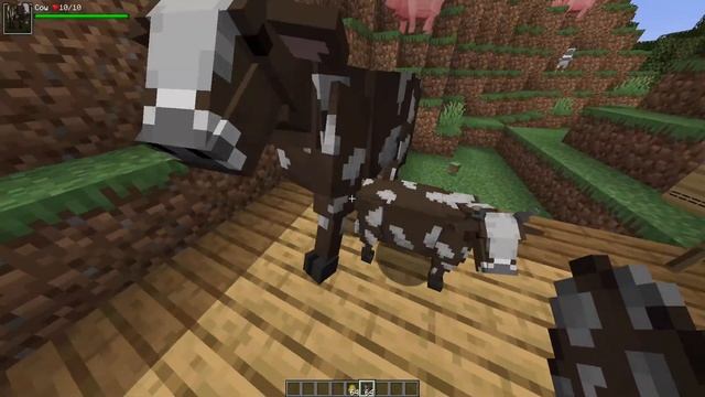 BETTER ANIMAL MODELS MOD - MINECRAFT 1.16.4 (MOD SHOWCASE) смотреть онлайн