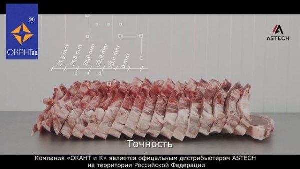 Автоматическая пила ASTECH модель PW-SAW для резки замороженного мяса на кости