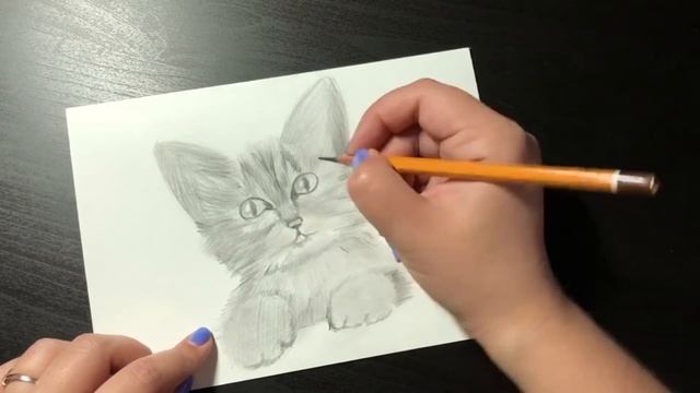 Кот карандашом/рисование для чайников смотреть онлайн