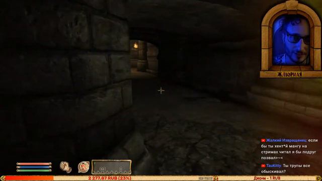 The Elder Scrolls IV: Oblivion I Бесконечный Бандит!I #21 смотреть онлайн