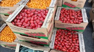 Посетили  "Софийскую" оптовую базу.)) Ужин-по заявкам..