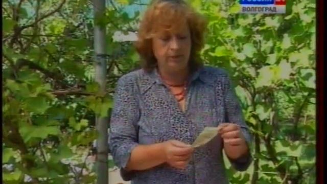 Стимуляторы плодообразования. смотреть онлайн