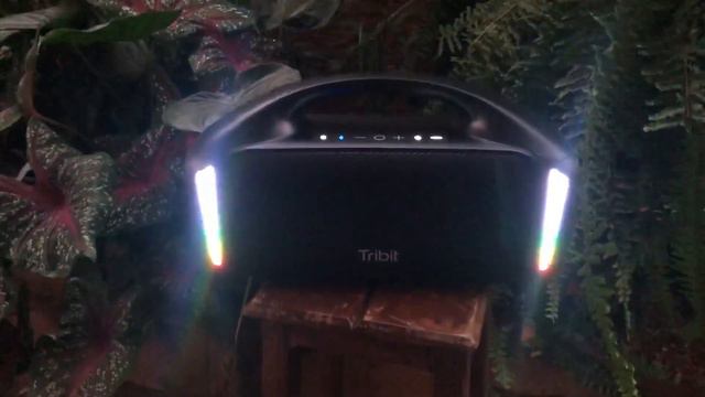 2 Mifas Wildbox VS Tribit Stormbox Blast