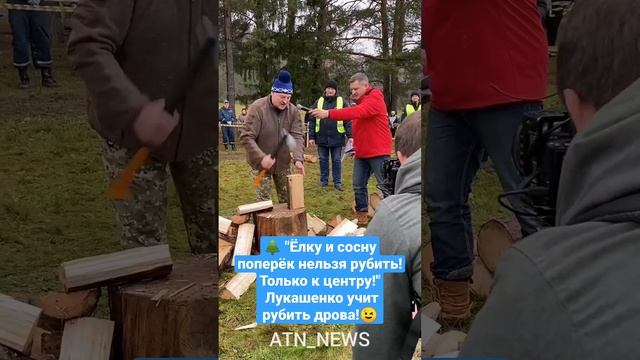 ??Лукашенко: Ёлку и сосну поперёк нельзя рубить! Только к центру! #лукашенко #согреемдуду #shorts смотреть онлайн