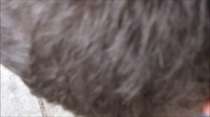 как вытащить адаптер для скважины из скважины