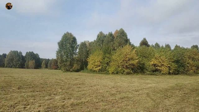 Прогулка в парке им Академика Синягина 150919 смотреть онлайн