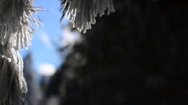 Дорогие мои, поздравляю вас с Новым Годом! Ваш Щербаков Дмитрий. смотреть онлайн