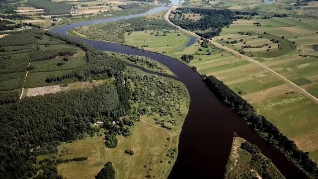 Душегуб хотел воспользоваться молодой почтальоншей посреди леса, пока стая волков не окружила его смотреть онлайн