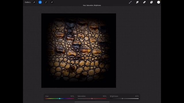 Creating alphas in procreate for use in nomad sculpt - Free chapter смотреть онлайн